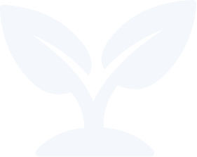 周辺環境