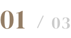  01/03